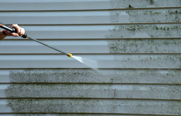 Best Fence Cleaning  in Yerington, NV
